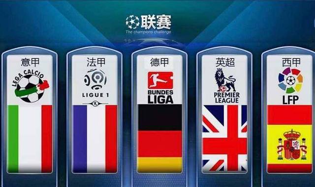 类似条款为